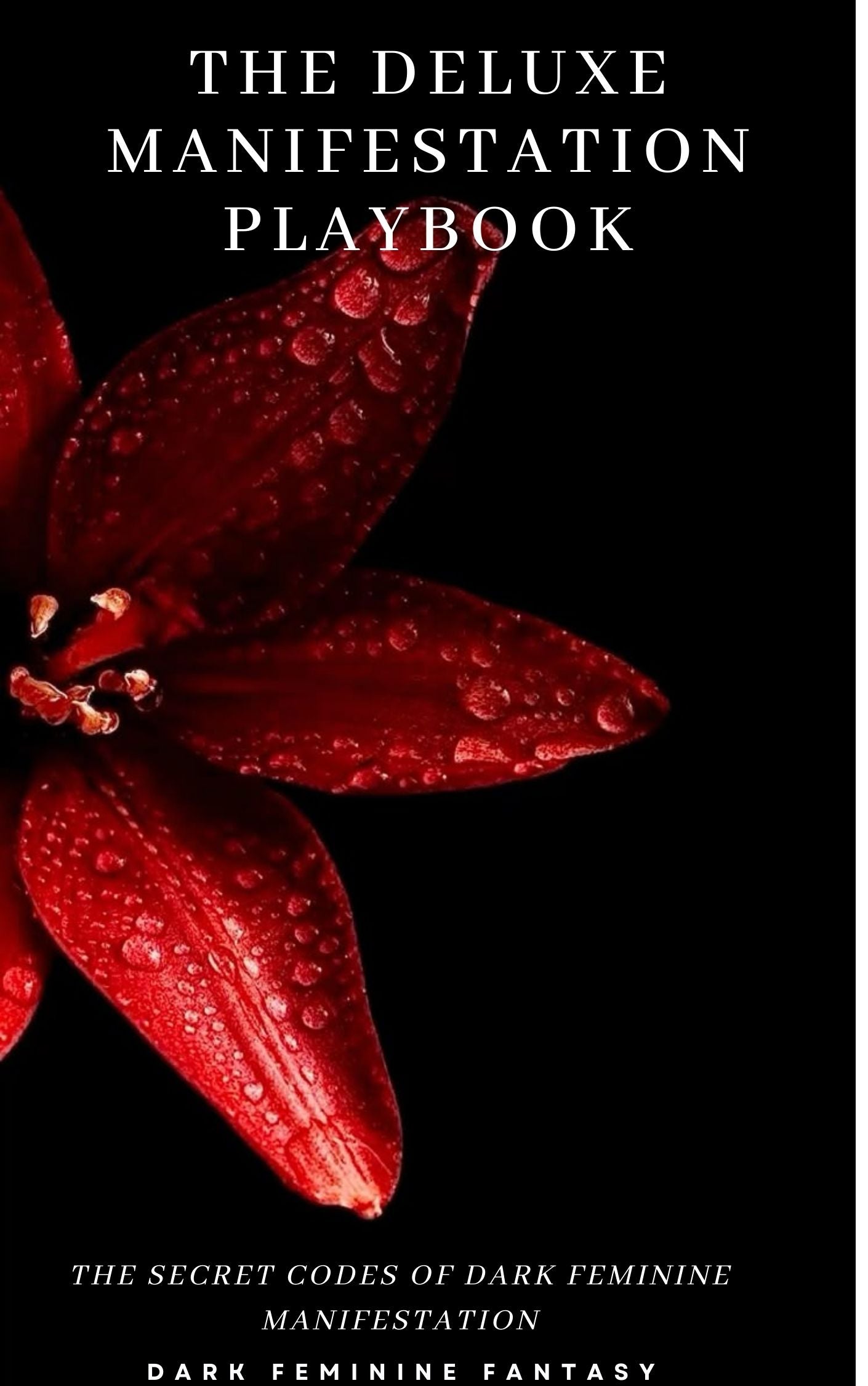 The Deluxe Manifestation Guide